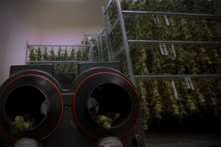Converting Grow Size to Throughput