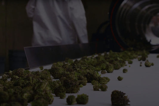 Five Trimming Tips