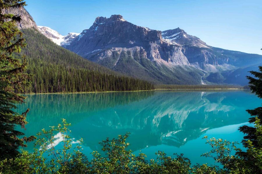 BC Bud – The Best of British Columbia