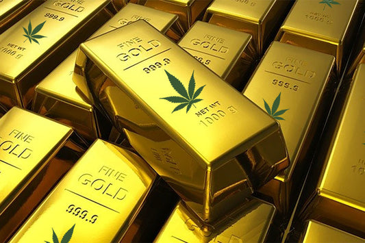 Green Rush USA – Legal Cannabis States Boom