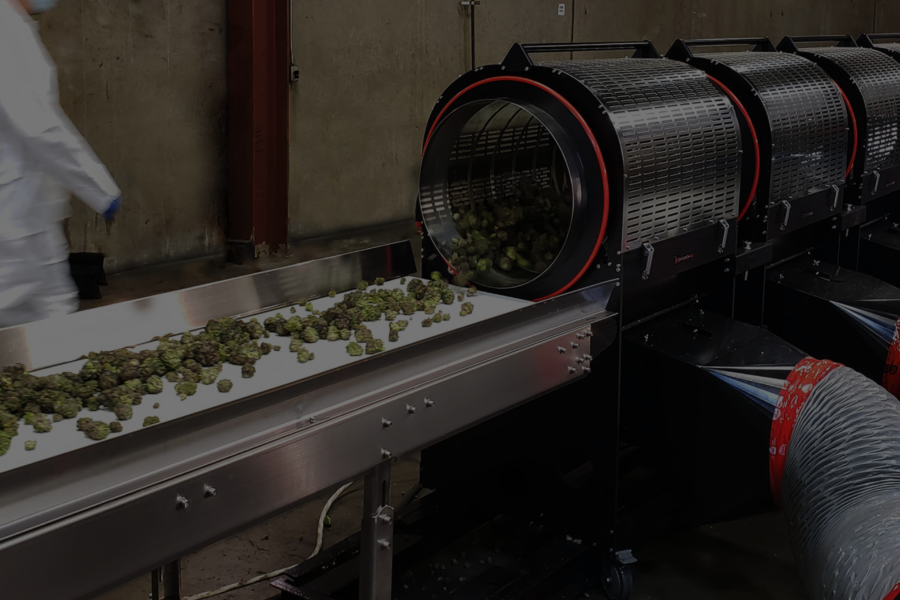 How to Automate Your Cannabis Grow Operation