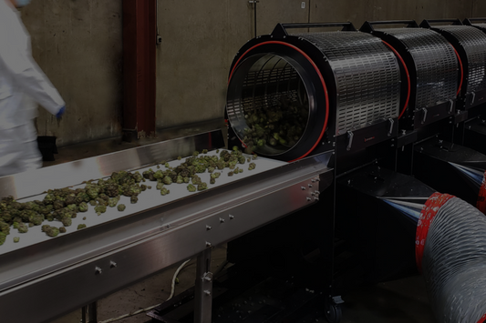How to Automate Your Cannabis Grow Operation