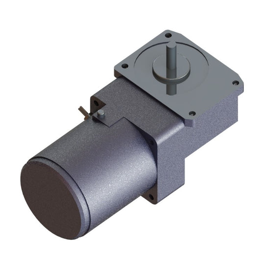 Motor And Gear Head (DBT Model 1)