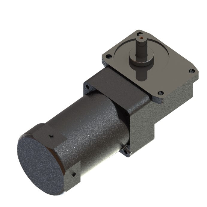 Motor and Gearhead (DBT Model 2)
