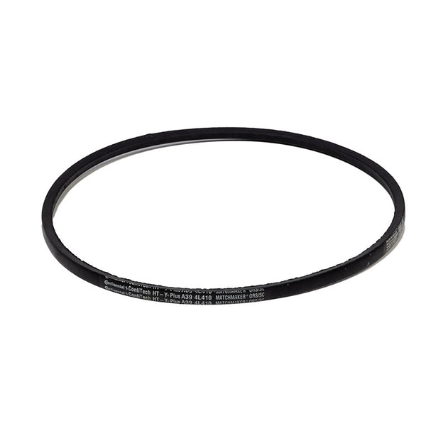 Belt (Gladiator)