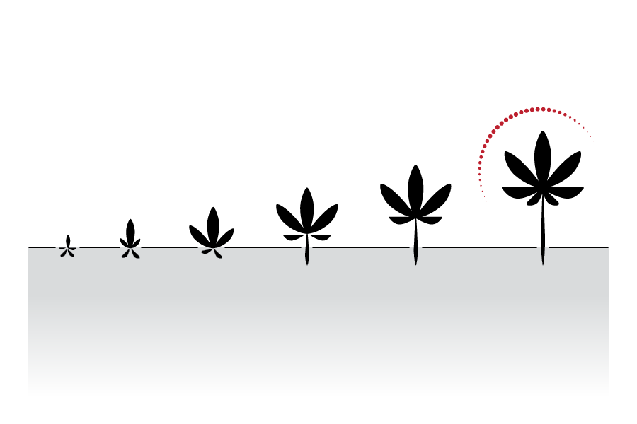 Continuous Improvement and Scalability
