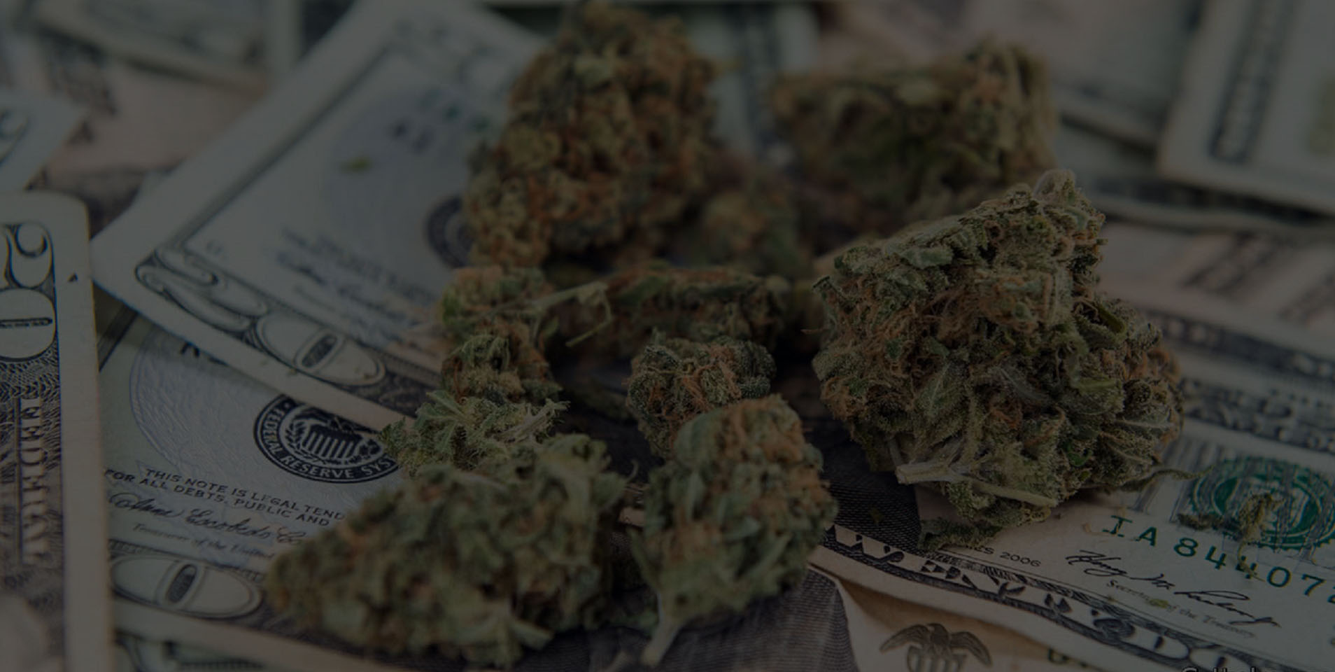 PROFITABILITY IN THE CANNABIS INDUSTRY