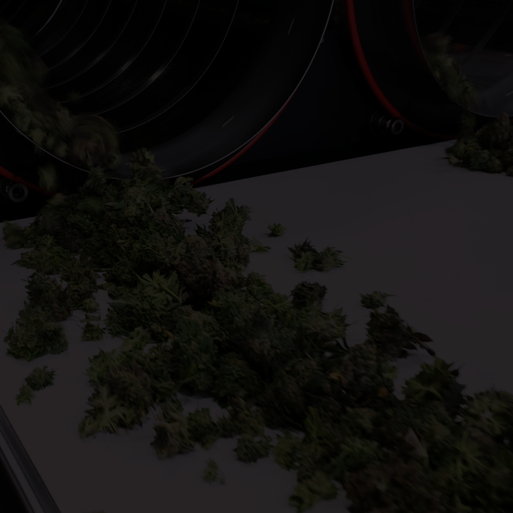 XL_10_Tumbler_trimming_dark_v1