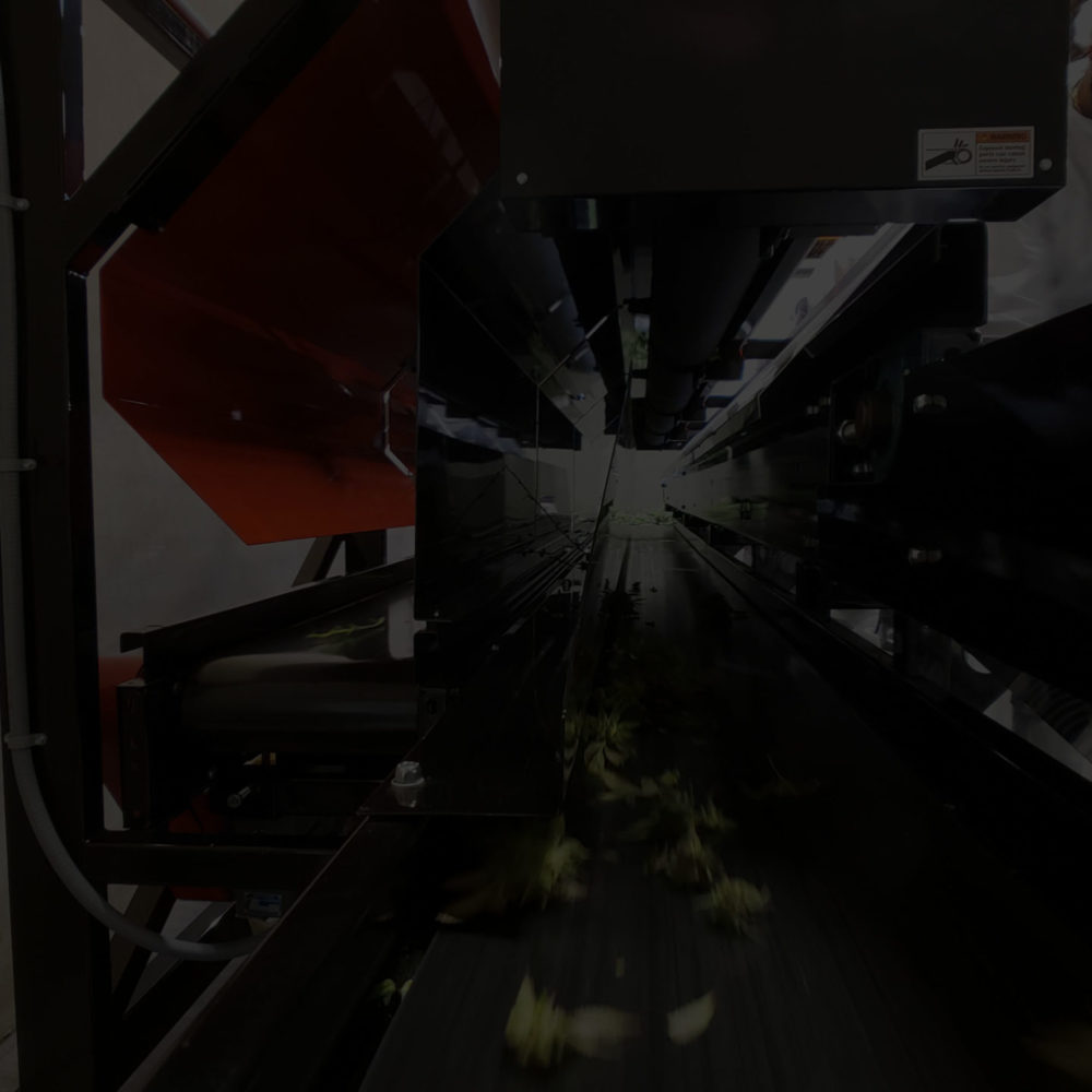 XL_MegaBucker_5-darkened