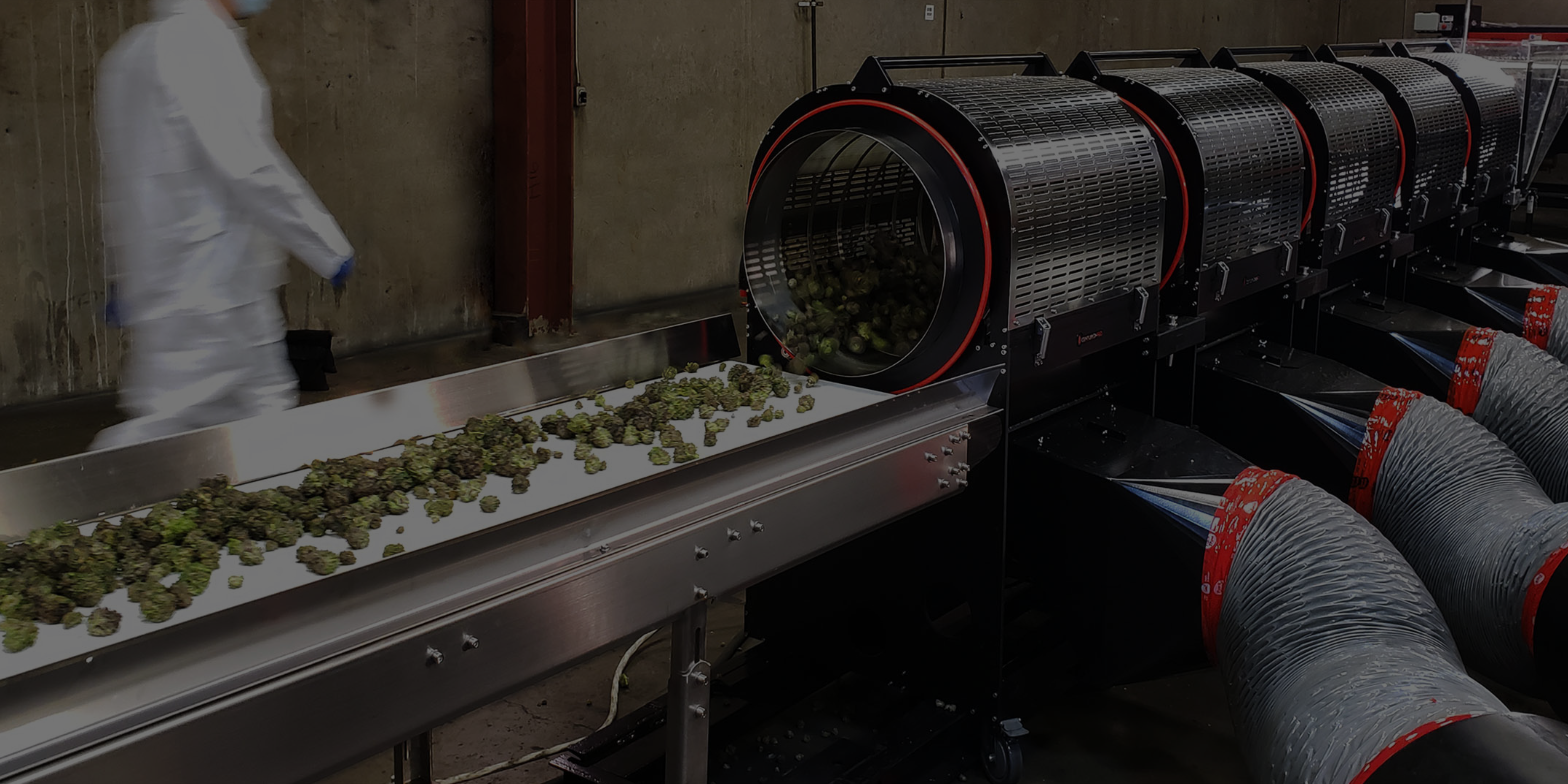 How to Automate Your Cannabis Grow Operation